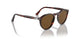 24/57 - Havana - Polar Brown