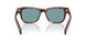 15W04D - Tortoise - Green Polar