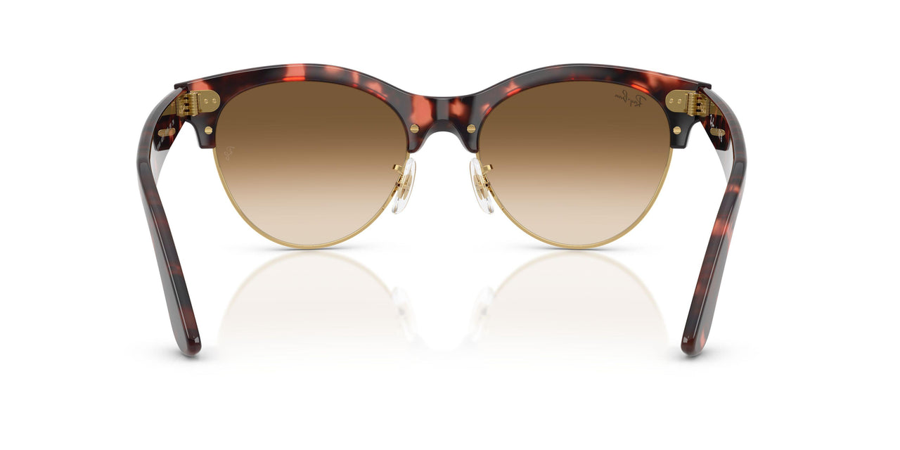 143251 - Havana - Clear Gradient Brown