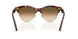 143251 - Havana - Clear Gradient Brown