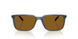 299683 - Blue - Dark Brown Polar