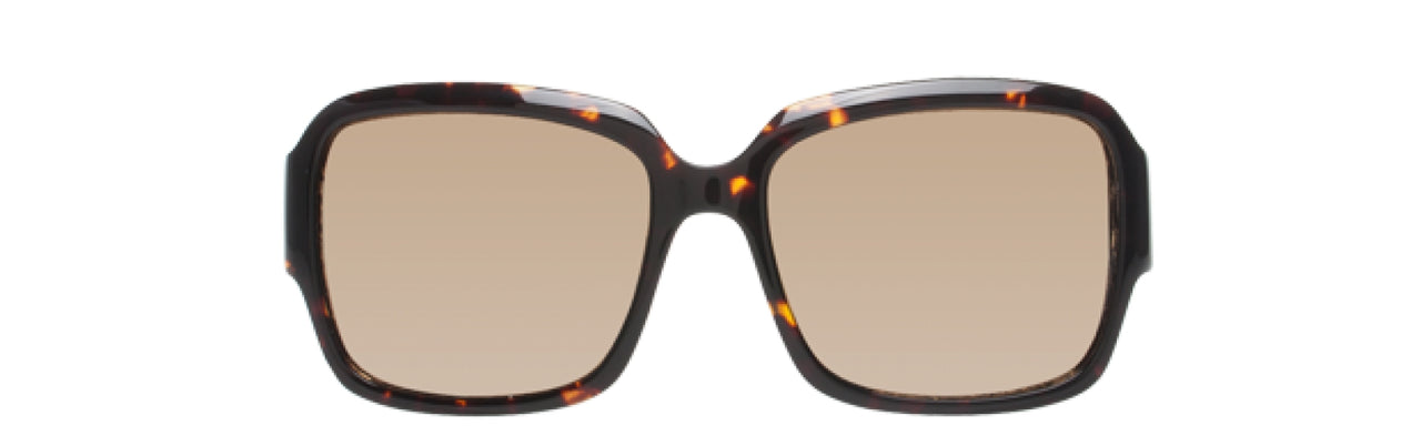 55B - Tortoise