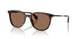 300273 - Tortoise - Solid Brown