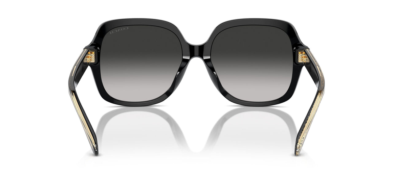 50023C - Black - Grey Gradient