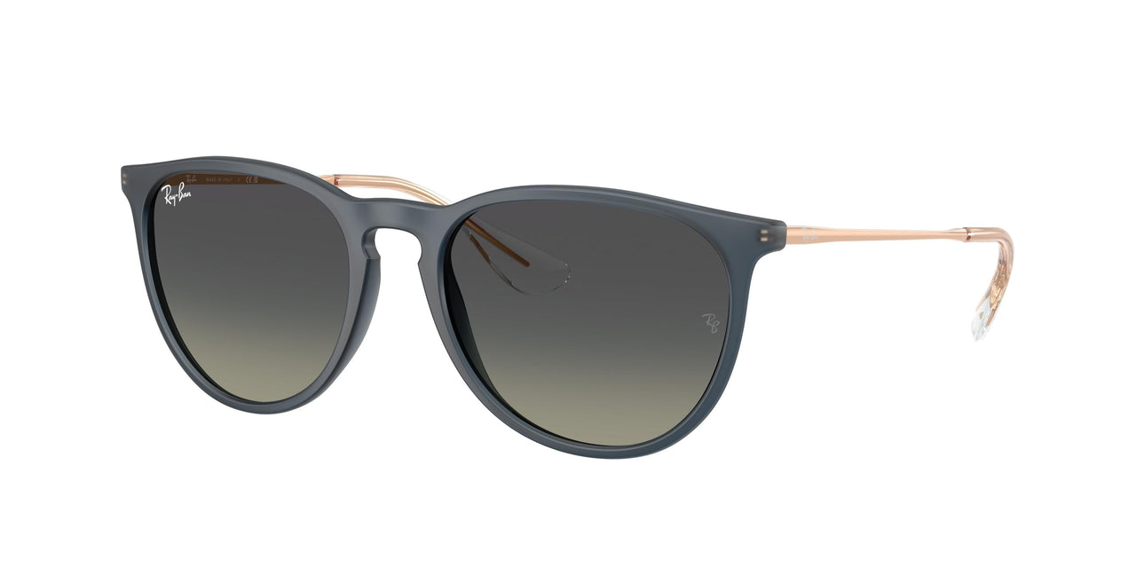 Ray-Ban Erika 4171F Sunglasses