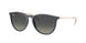 Ray-Ban Erika 4171F Sunglasses