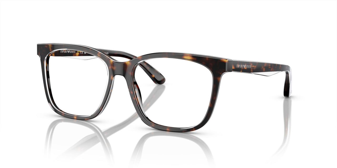 6052 - Tortoise