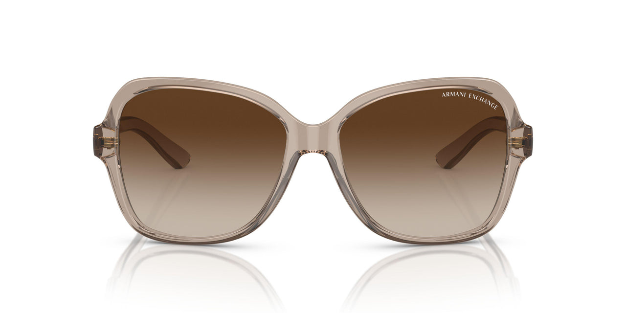 824013 - Brown - Gradient Brown