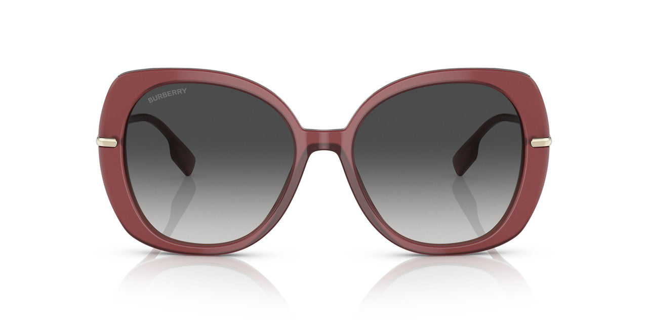 40228G - Bordeaux - Grey Gradient