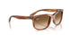 140351 - Tortoise - Clear Gradient Brown