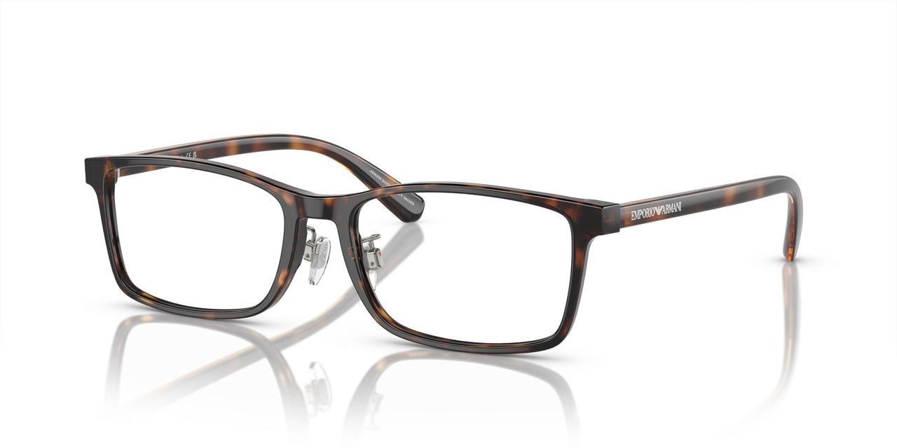 5026 - Tortoise