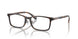 5026 - Tortoise