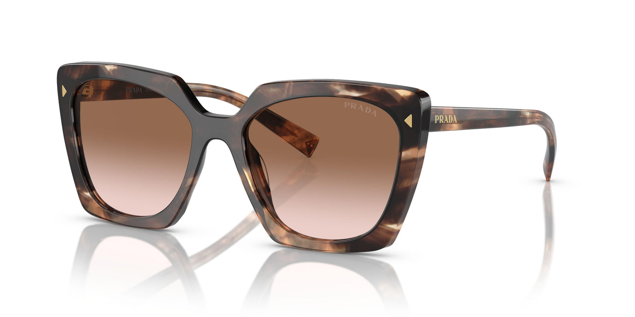 07R0A6 - Tortoise - Brown Gradient