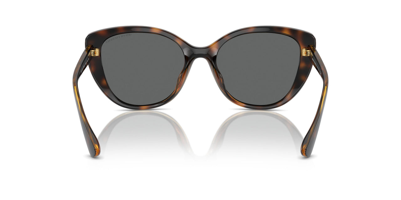 821387 - Tortoise - Dark Grey
