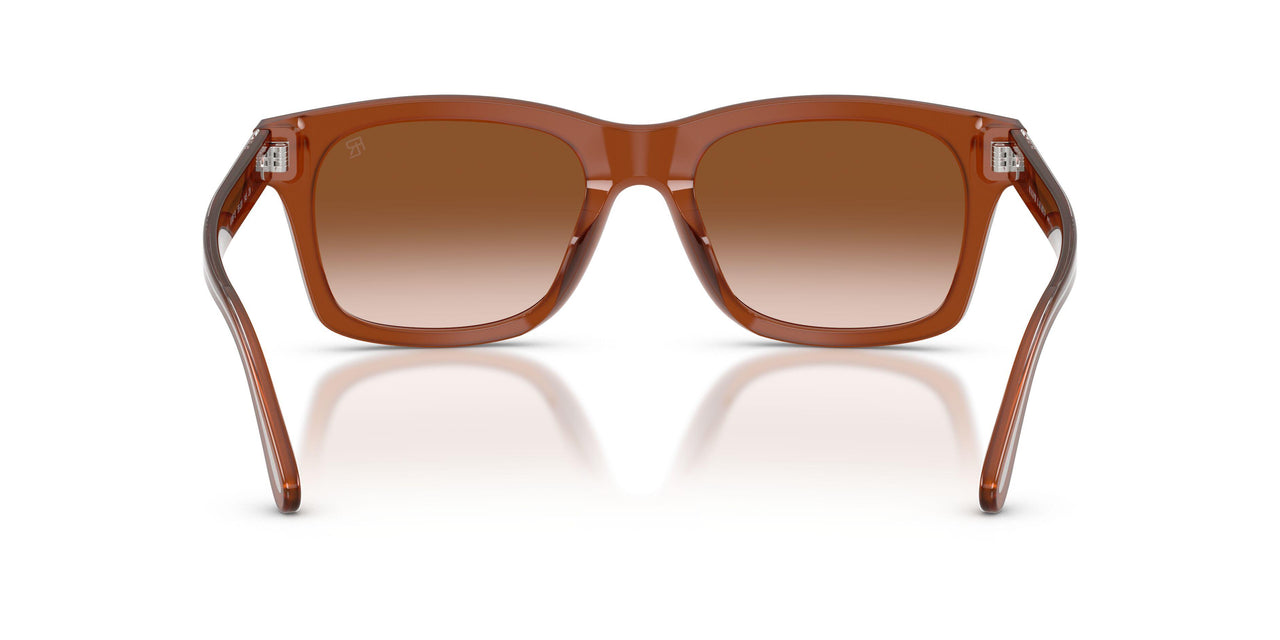 630613 - Brown - Gradient Brown