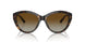 5002T5 - Tortoise - Polarized Gradient Brown