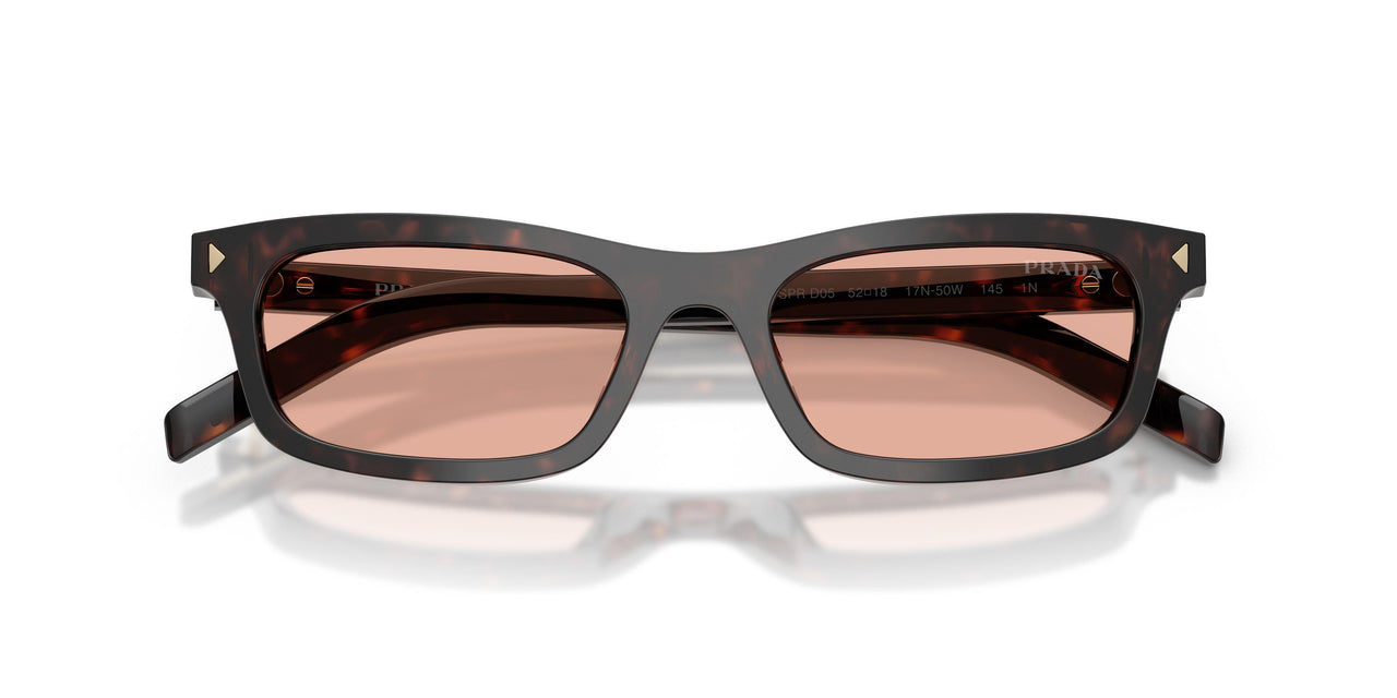 17N50W - Tortoise - Pink