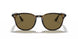 710/73 - Havana - Brown
