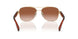 900513 - Gold - Brown Gradient