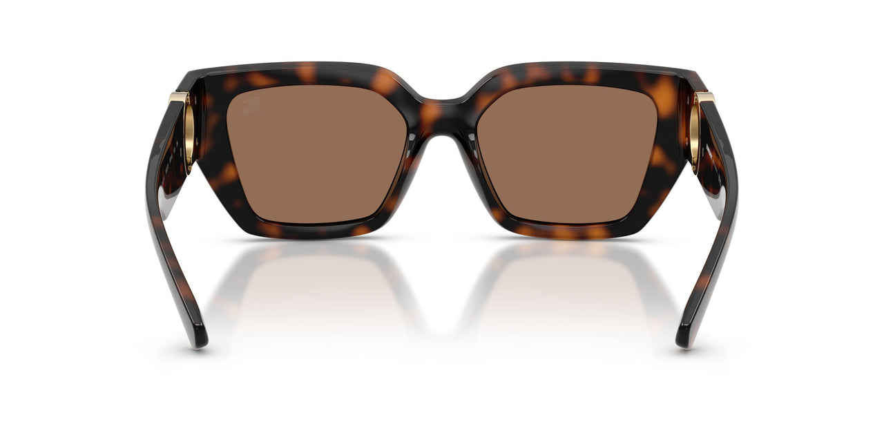 300273 - Brown - Dark Brown