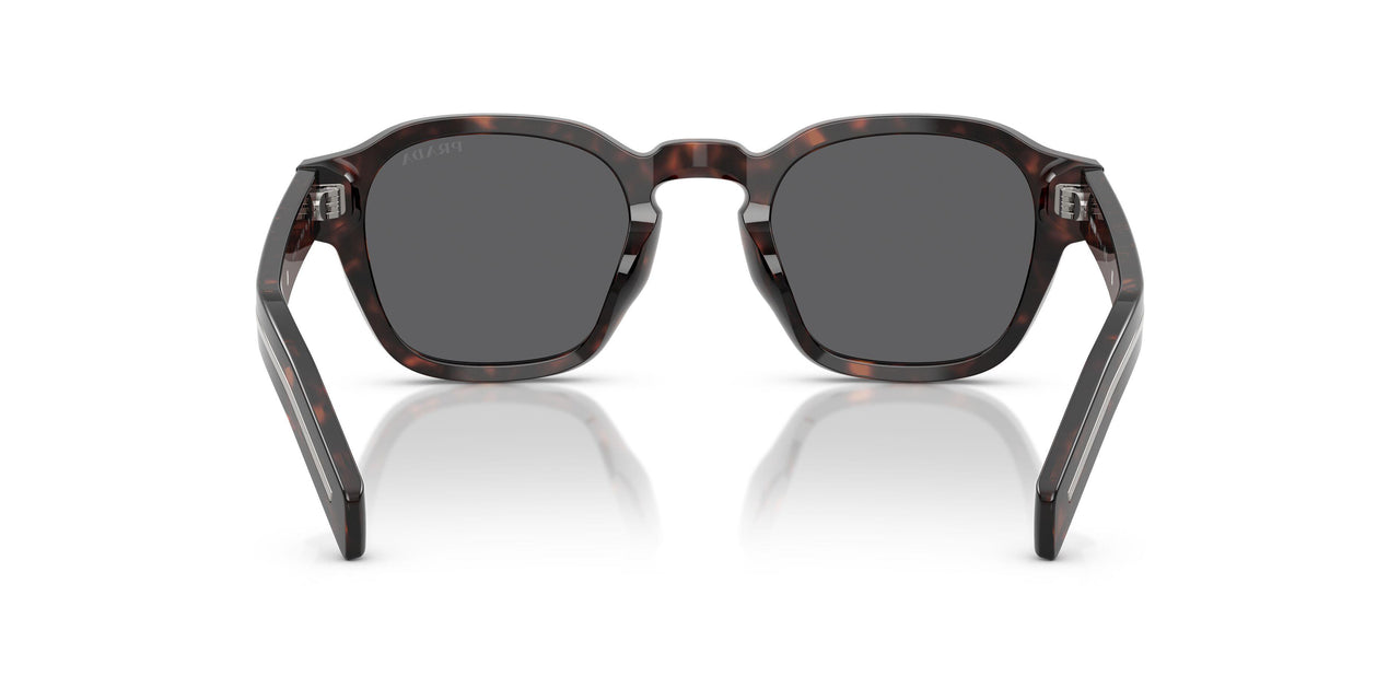 17N731 - Tortoise - Dark Grey