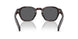 17N731 - Tortoise - Dark Grey