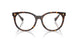 5003 - Tortoise