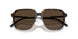 3002M4 - Tortoise - Brown Solid