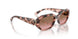 319914 - Pink - Pink Gradient Brown