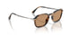 123653 - Brown - Brown