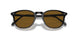 172283 - Black - Brown Polarized