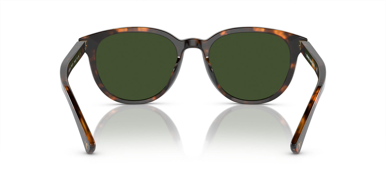 616171 - Tortoise - Solid Dark Green
