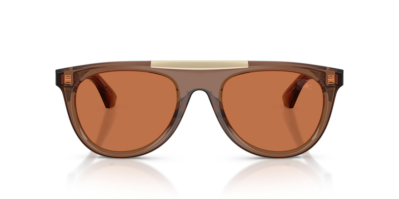 417373 - Brown - Marrone