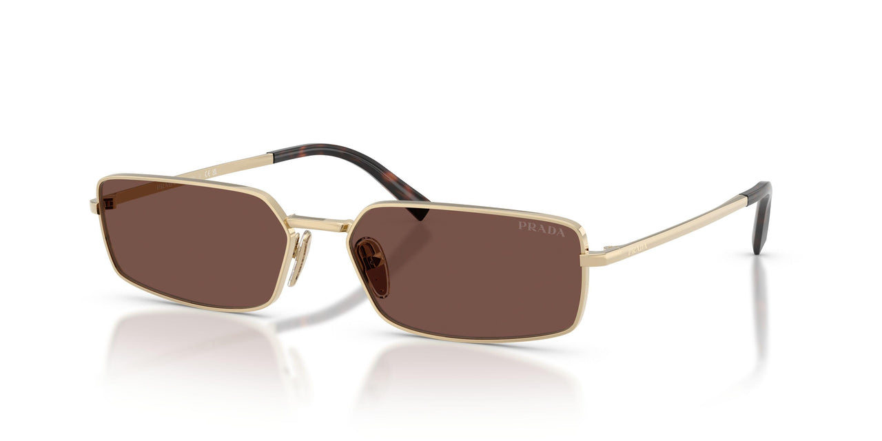 ZVN80T - Gold - Black Chocolate