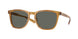 200223 - Yellow - Gray