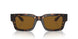 612433 - Tortoise - Brown