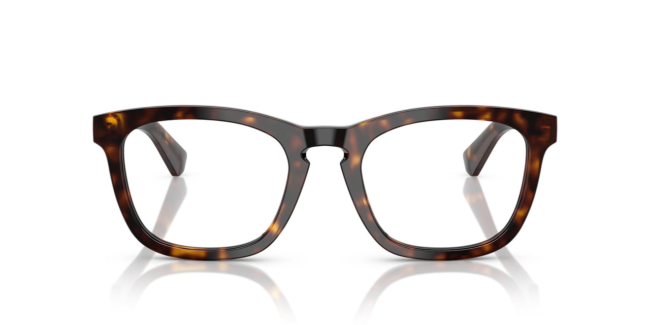 3002 - Brown