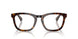 3002 - Brown