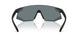12P5L0 - Black - Grey Mirror Black