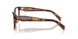22A1O1 - Tortoise