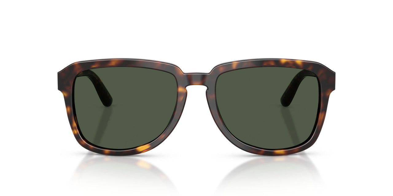 502/9A - Tortoise - Dark Green Polarized