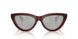41448V - Brown - Clear Mirror Silver 80