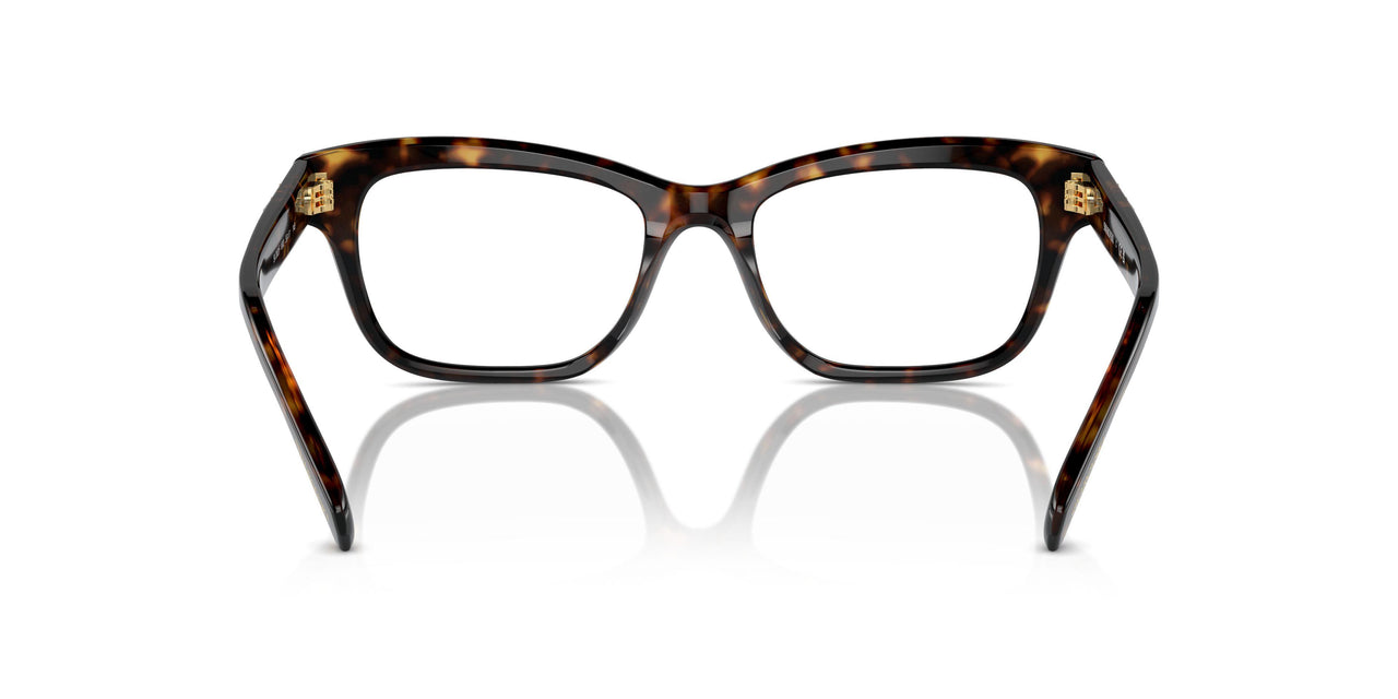 1002 - Brown