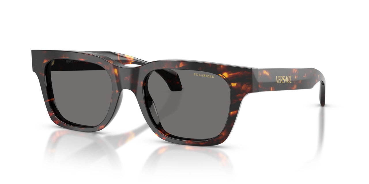 550981 - Tortoise - Dark Grey Polar