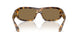 343773 - Tortoise - Dark Brown