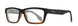 WSCON05 Gloss Black With Brown Stripe