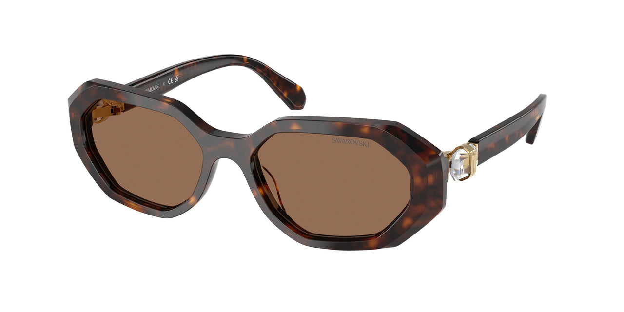 100273 - Brown - Dark Brown