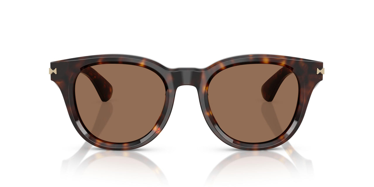 300273 - Brown - Dark Brown