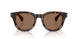 300273 - Brown - Dark Brown