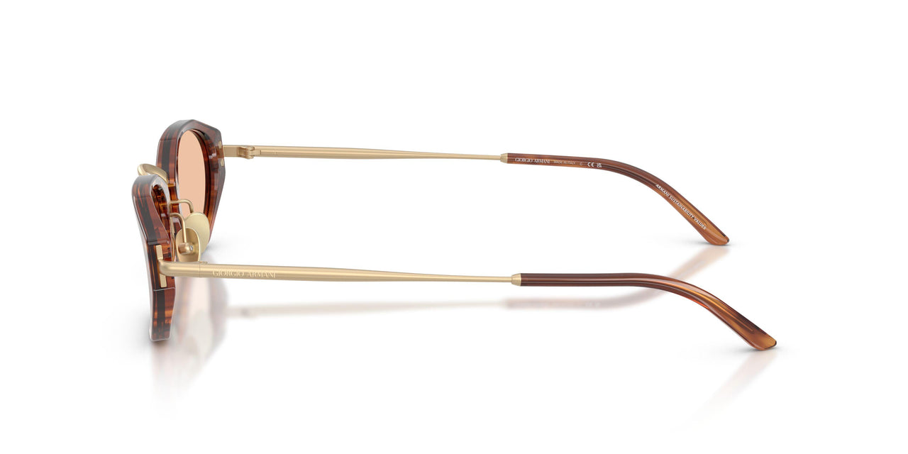 616273 - Tortoise - Light Brown